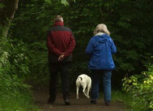 couple walking a dog